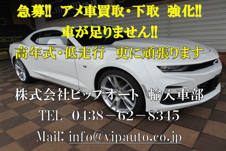 お願い アメ車買取 下取り急募 車が足りません ビップオート お願い アメ車買取 下取り急募 車が足りません ビップオート